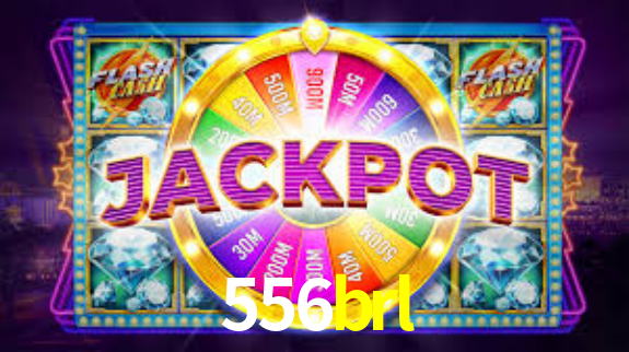 Premium Interface 556brl